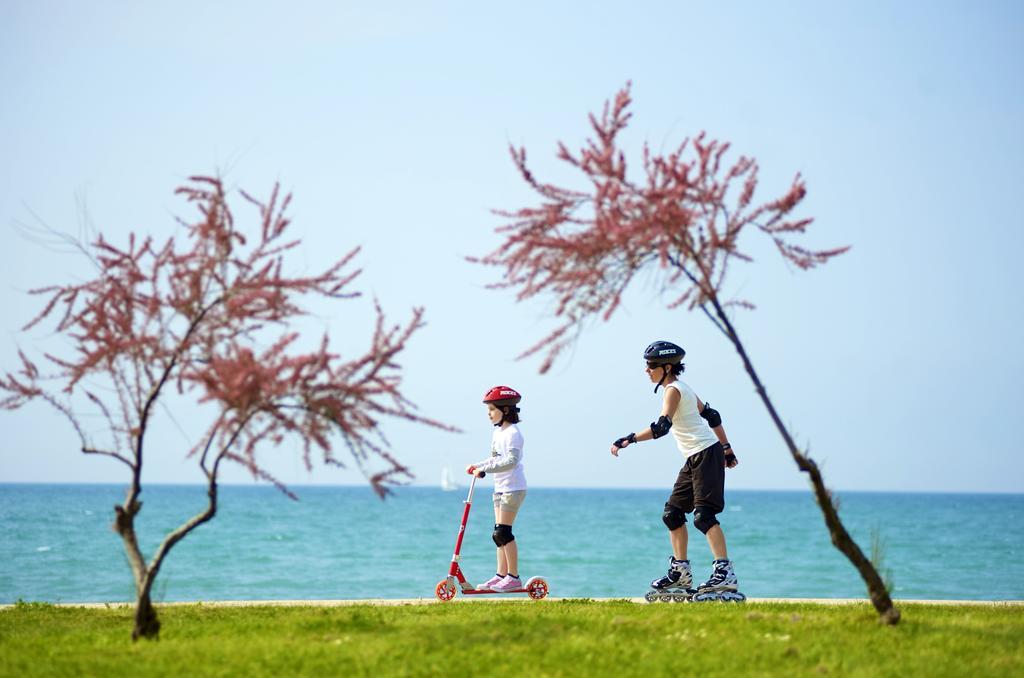 Aminess Sirena - Holiday Homes Classic Novigrad Istria エクステリア 写真
