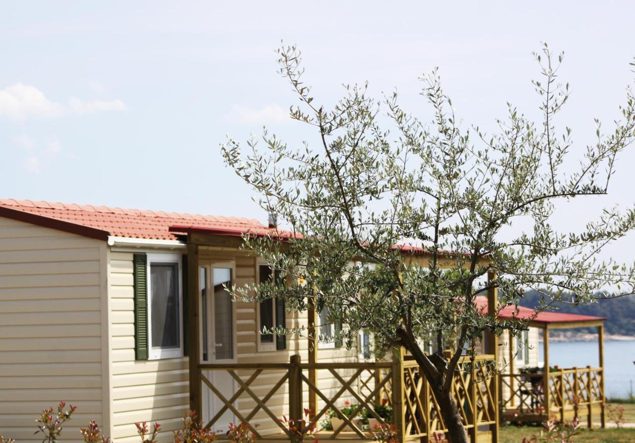 Aminess Sirena - Holiday Homes Classic Novigrad Istria 部屋 写真